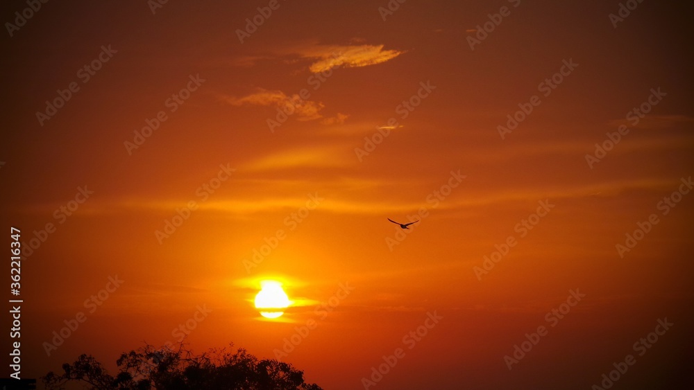 sunset in the sky sunset in the sky