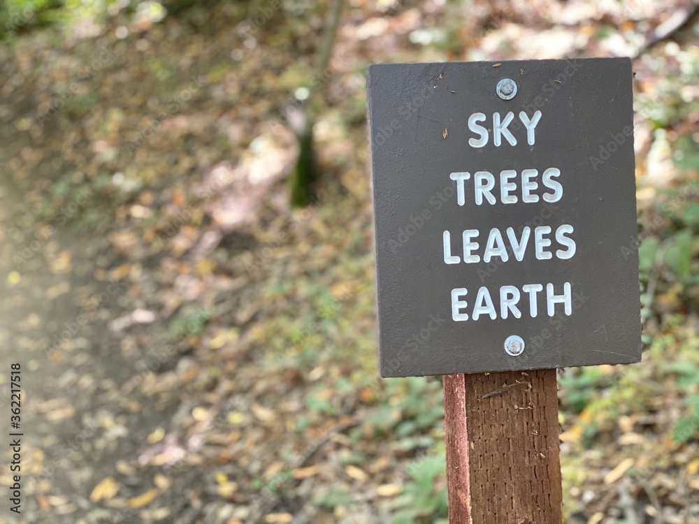 Sky, trees, leaves, earth. The inscription on a gray background. The sign on a hiking trail.  Sunny day, California, USA