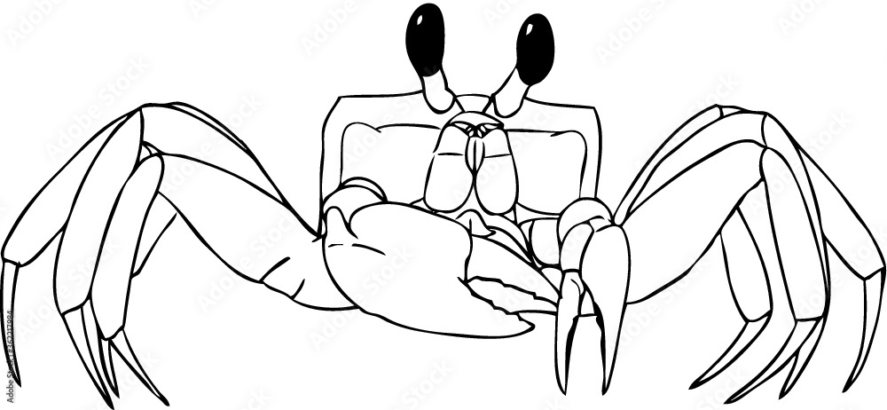 Fototapeta premium Realistic Crab Drawing - Vector illustration