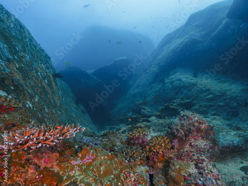 Boulder rock formation with some corals