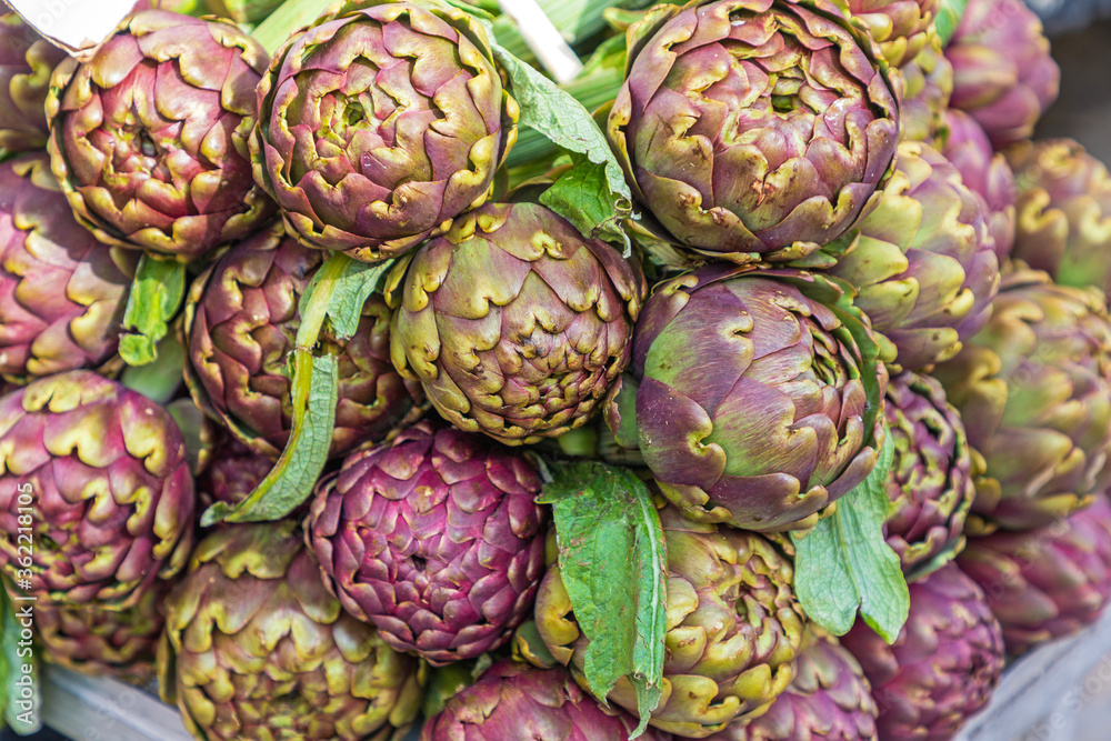 Obraz premium Italian Purple Artichokes