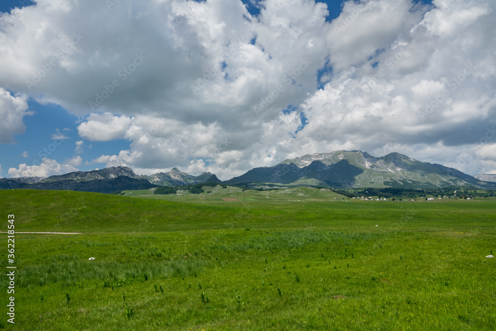 Mountain range in Montenegro (Zabljak)