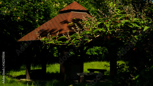 Beautiful views in the Silesian park in Chorzów. Ready for entry.