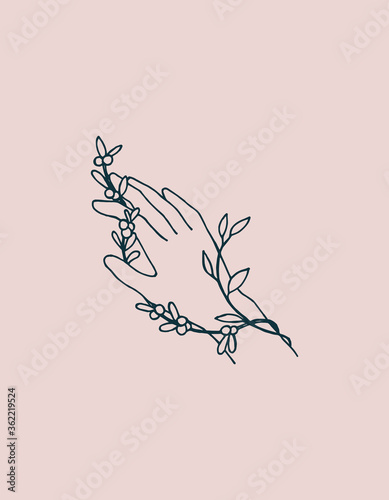
vector illustration, line drawing. Female hand with a sprig of medicinal plant isolated on a pink background. a symbol of esotericism, magic, folk medicine. natural cosmetics, eco body care