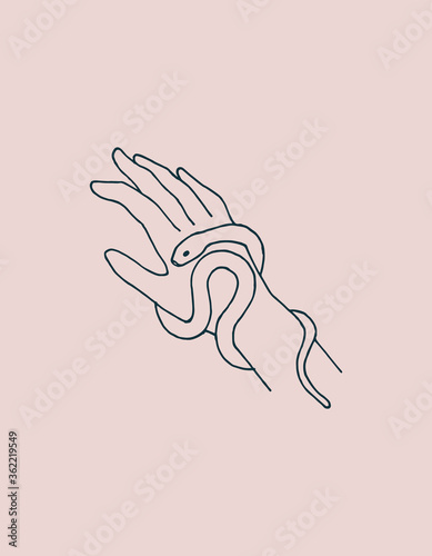  line vector illustration. Female hand with a snake isolated on a pink background. a symbol of magic  esotericism  mysticism  witchcraft. logo of cosmetics  medicines with snake venom