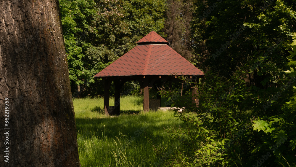 Beautiful views in the Silesian park in Chorzów. Ready for entry. Beautiful views in the Silesian park in Chorzów. Ready for entry.