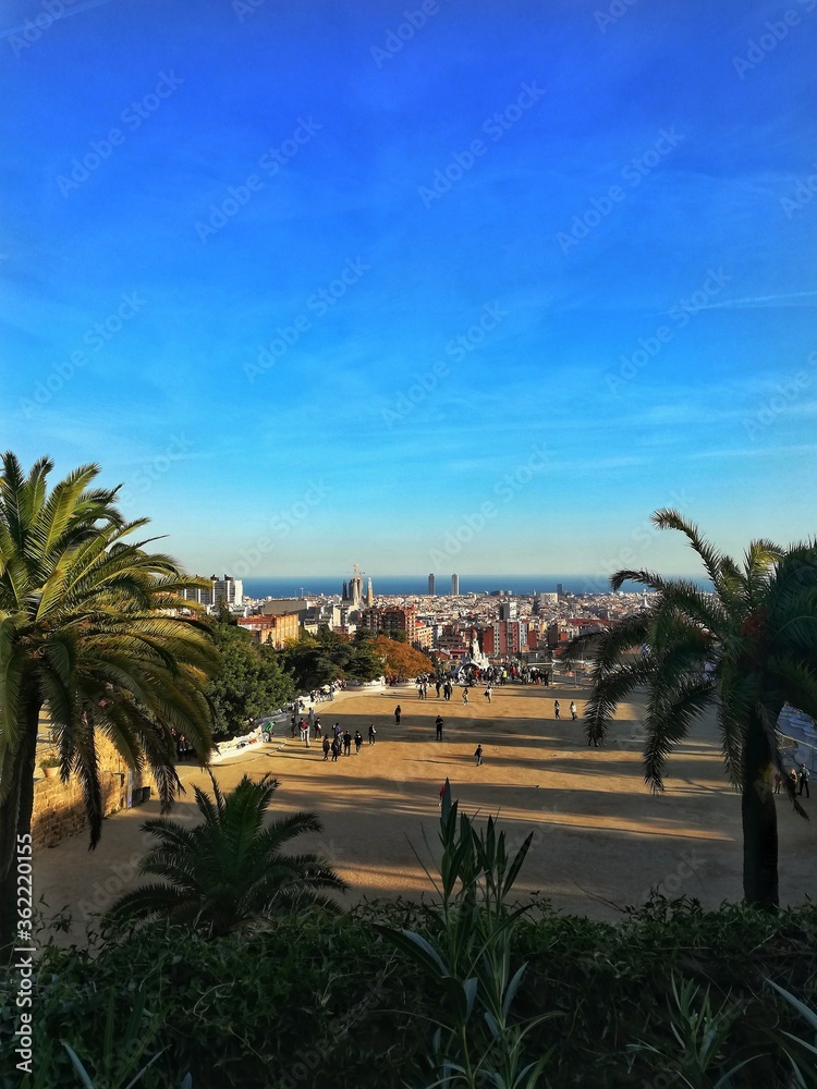 palm trees at sunset, Barcelona, Spain