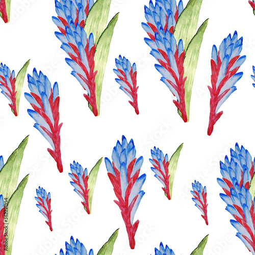 Bouquets of a blossoming exotic flower of Quesnel. Illustration in the form of a seamless pattern on a white background.