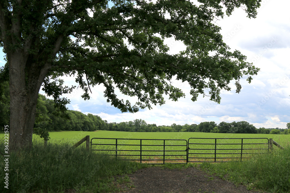 farmland tree shadows fence bright sunny day