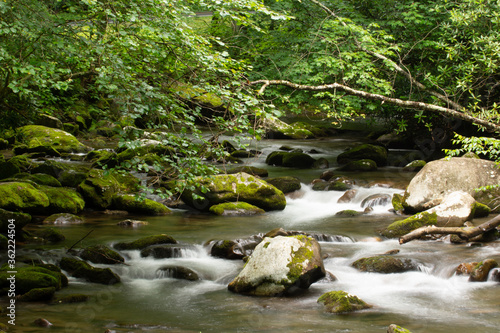 small waterfall in the forest