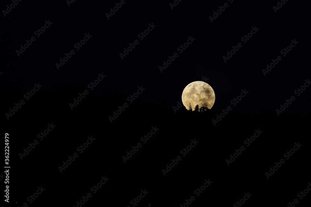 luna, noche, cielo, espacio, moreno, negro, astronomía, completo, planeta, lunar, plenilunio, crateres, alumbrado, satélite, brillante, universe, claro de luna, luna, crateres, cosmos luna, noche, cielo, espacio, moreno, negro, astronomía, completo, planeta, lunar, plenilunio, crateres, alumbrado, satélite, brillante, universe, claro de luna, luna, crateres, cosmos