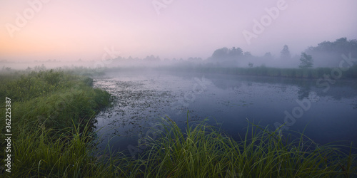 Foggy summer white night in swamp among European nature filled with colored light.