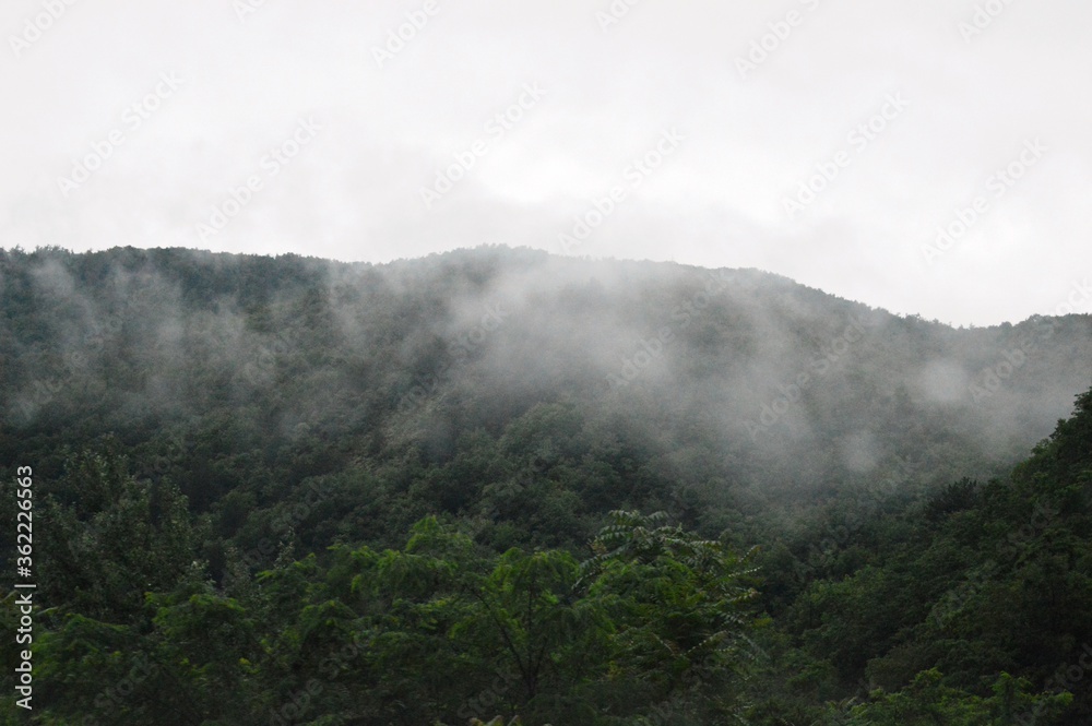 morning fog in the hills