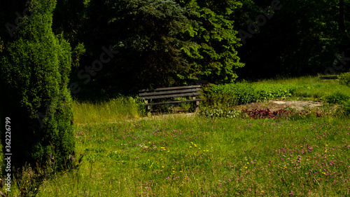 Beautiful views in the Silesian park in Chorzów. Ready for entry.