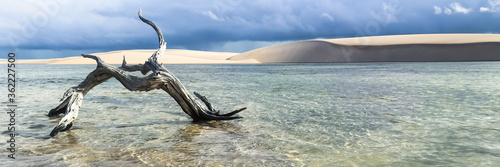 Lencois Maranhenses, National Park, Maranhao. Web banner in panoramic view. photo