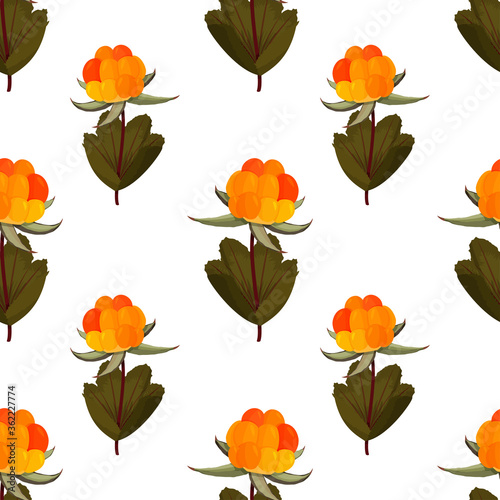 Fresh cloudberry background. Whole forest berries seamless pattern.