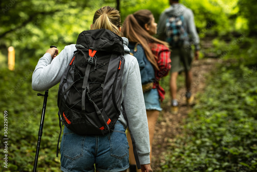 Group of friends hiking together in nature.They walking on old path.Rear view.
Group of friends hiking together in nature.They walking on old path.Rear view.