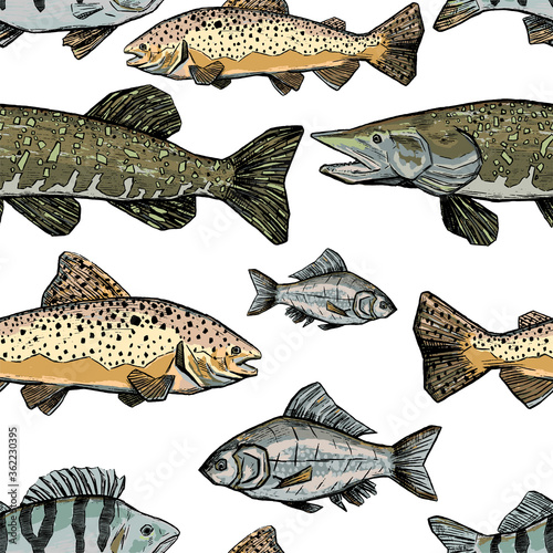 Hand drawn vector seamless pattern of river fish. Trout, Perch, Pike, Crucian realistic ink sketches background. Vintage colorful animalistic design for wallpapers, wrap, textile, card, print, fabric.