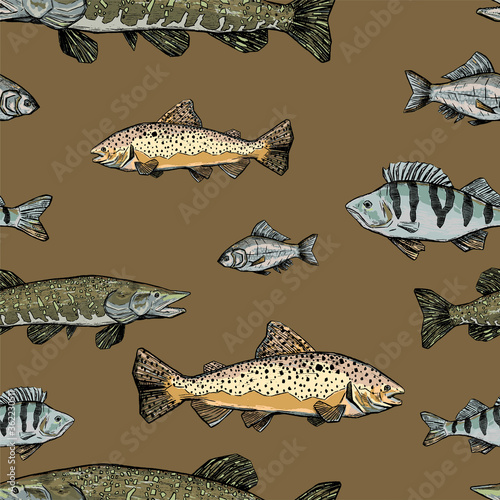 Hand drawn vector seamless pattern of river fish. Trout, Perch, Pike, Crucian realistic ink sketches background. Vintage colorful animalistic design for wallpapers, wrap, textile, card, print, fabric.