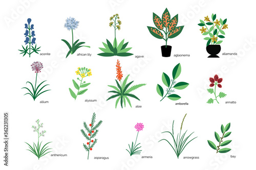 Plants icons collection photo