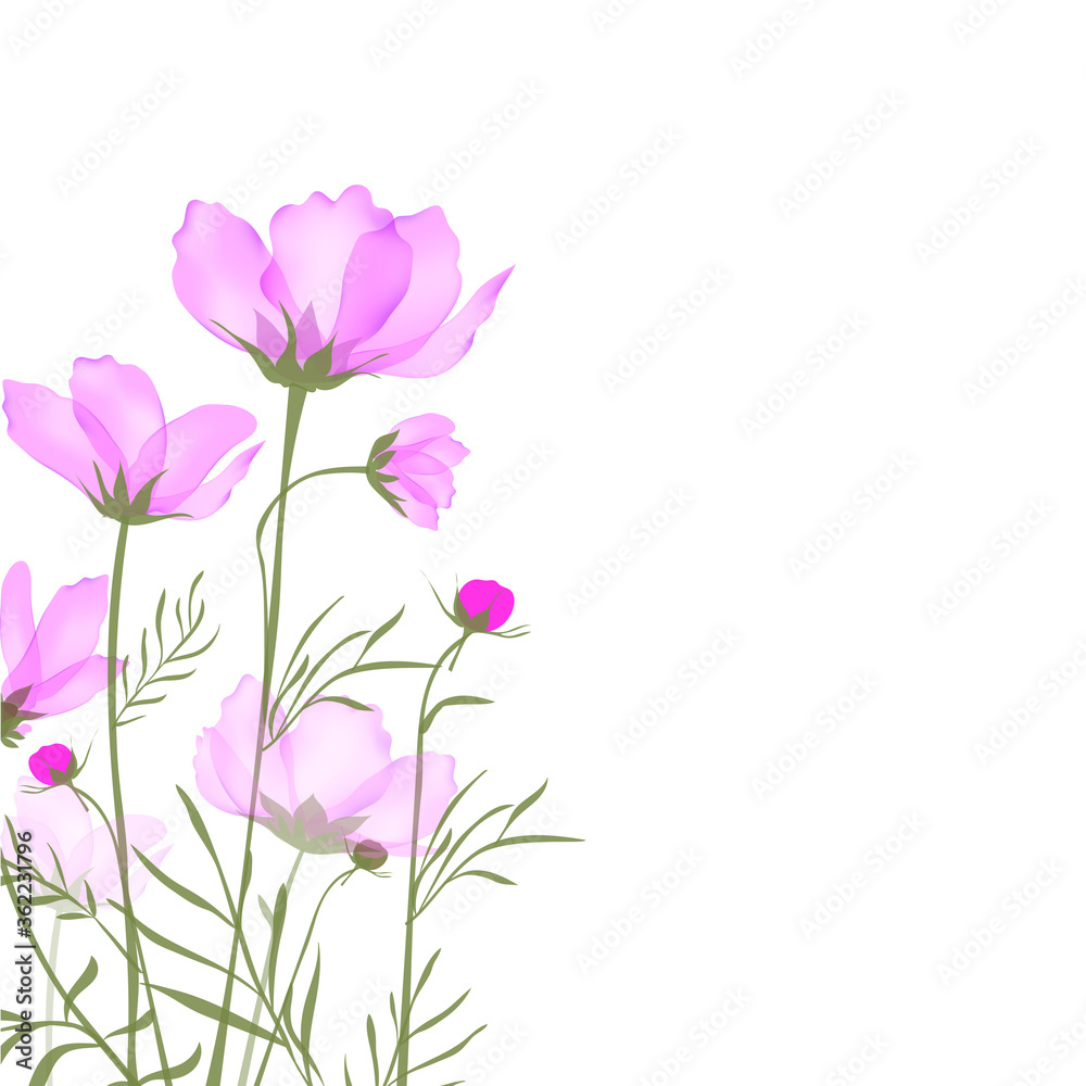 Garden landscapes, summer and spring flower bed.Vector illustration spring and summer garden flowers isolated on white.