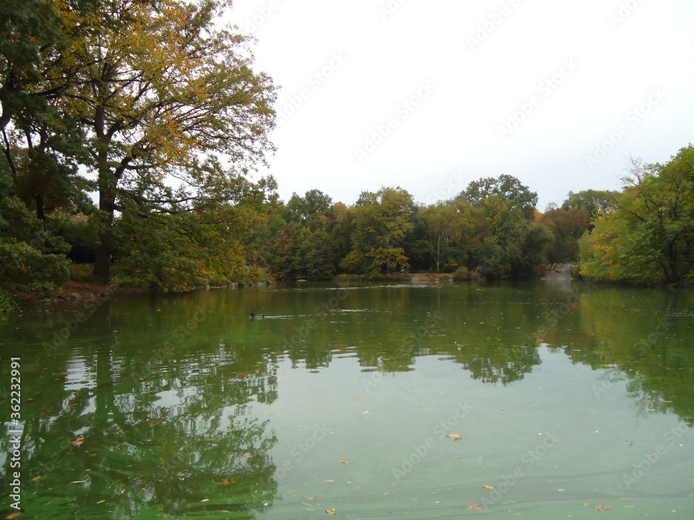 Obraz premium Central Parck images in New York City.