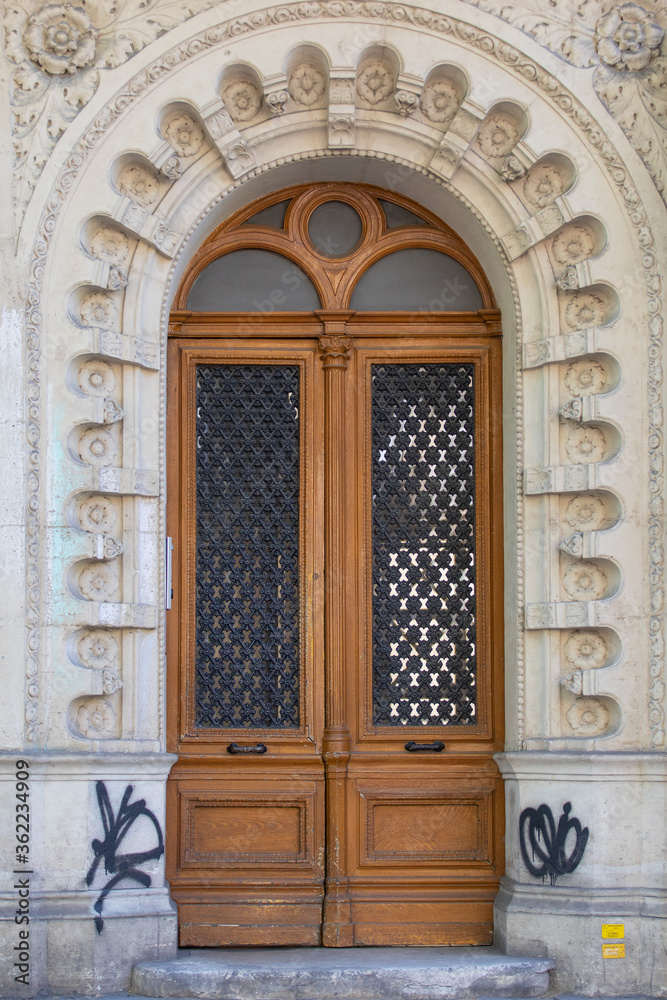 Beautiful Paris door natural color