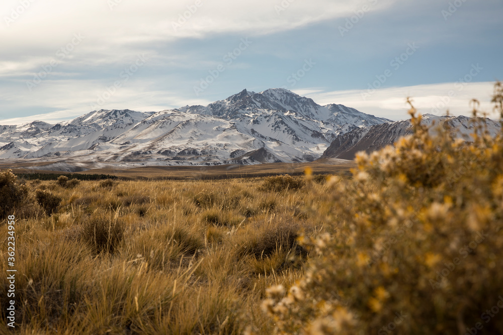Mountaineering. View of Volcano Domuyo, the mountains and the golden meadow in autumn. 
