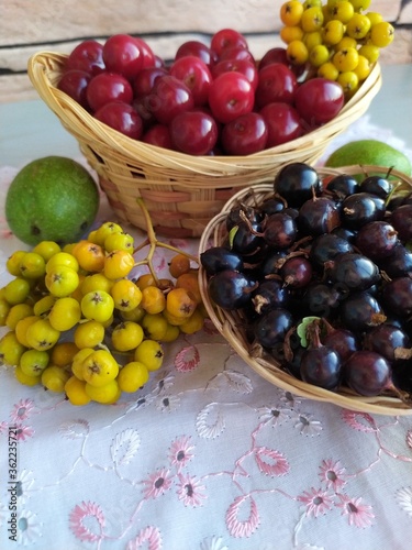 Food fruit and berry still life cherry in a basket black currant in a basket plate unripe yellow rowan green walnuts