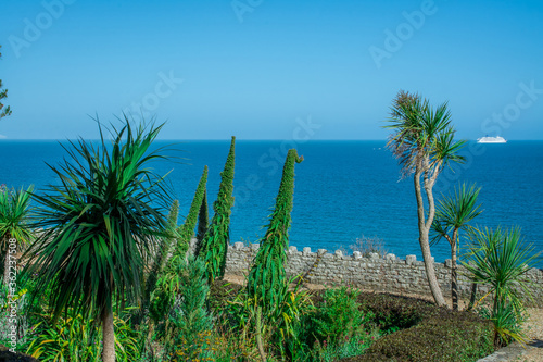 tropical beach with palm trees and sea