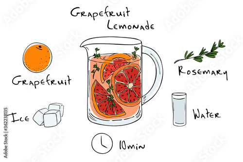 Recipe lemonade detox cocktail with rosemary, grapefruit. Vector illustration for greeting cards, magazine, cafe and restaurant menu. Fresh lemonade for healthy life, diets.