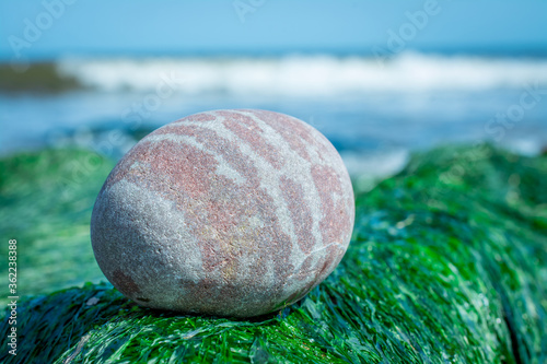 stones on the beach photo