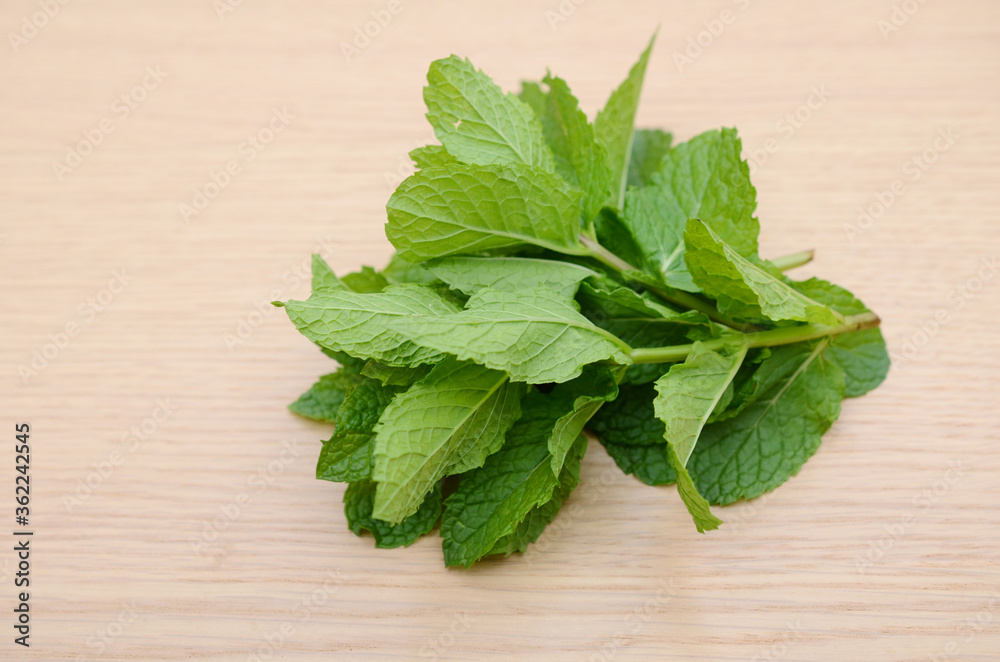 Bunch of peppermint Raw Vegetable Bunch of peppermint Raw Vegetable