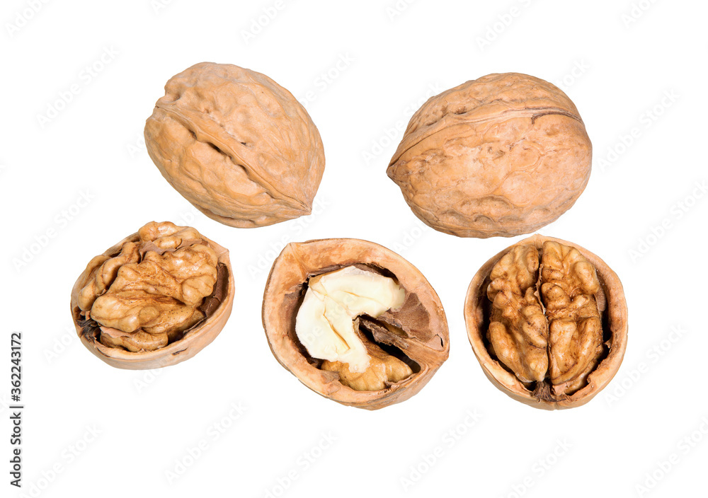 Walnuts isolated on white background. Walnuts isolated on white background.