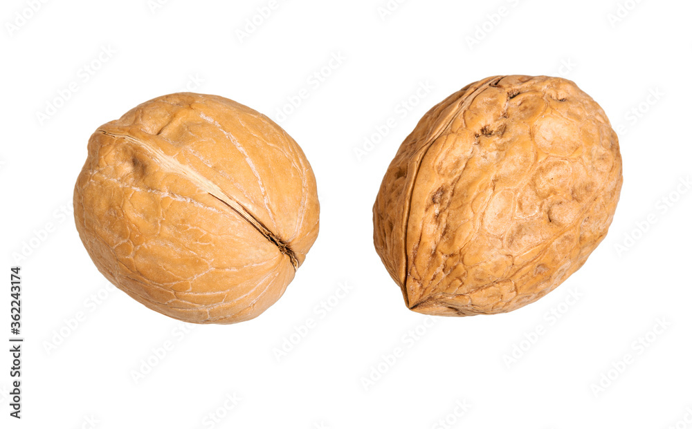 Walnuts isolated on white background. Walnuts isolated on white background.