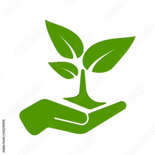 Green tree growing in hand vector  illustration. Hand holding plant tree icon isolated on white background. Save nature concept. Sprout logo template. Green color simple invironmental protection sign.