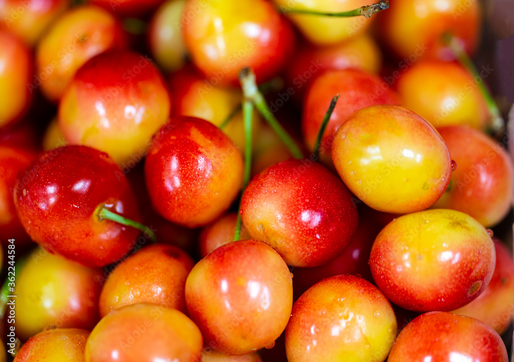 Beautiful fresh cherry macro photo. Cherries background. Beautiful fresh cherry macro photo. Cherries background.