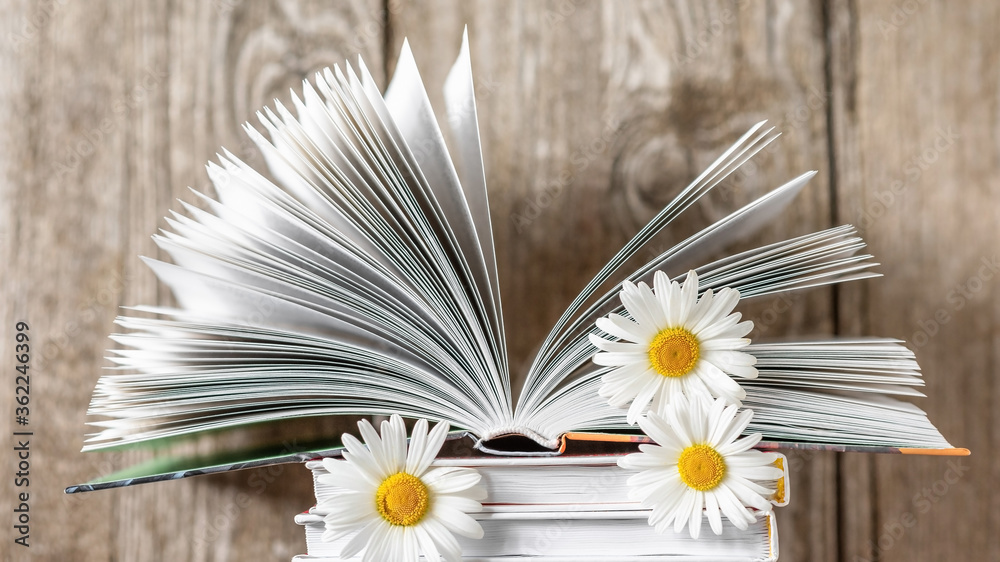 Obraz premium An open book with daisies between the pages on a background of wooden boards.