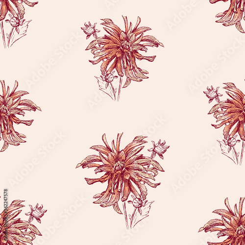 Seamless pattern of sketches red garden asters with buds