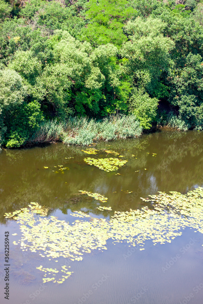 photo of the river  in a hot summer