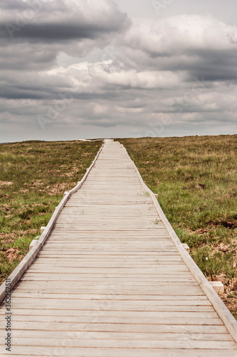 Boardwalk through a bog in West Ireland.