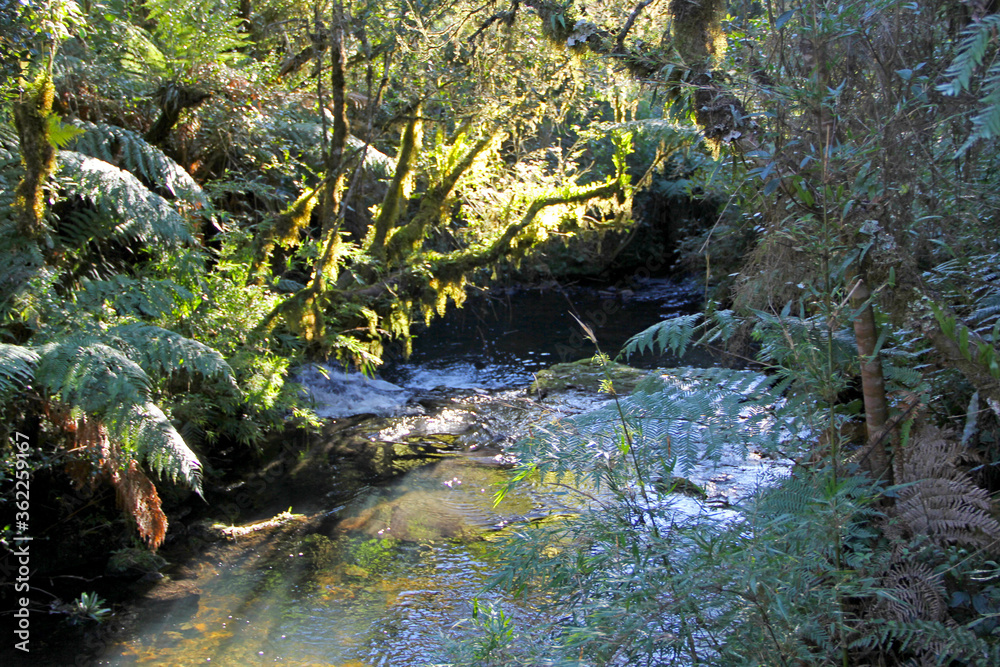 River