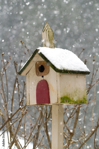 a birdhouse on a post in a garden during a snow storm in Salem Oregon. © Bob