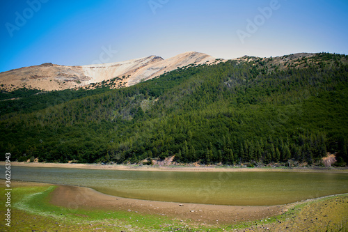 Cerro con bosque junto a un río photo