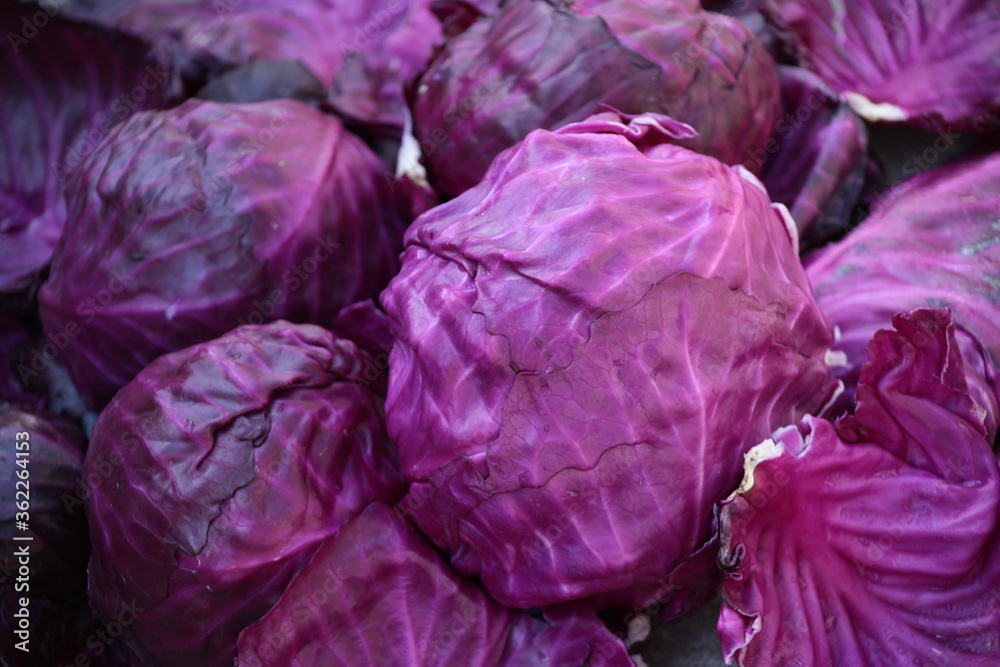red cabbage on the market red cabbage on the market