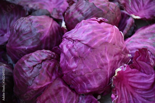 red cabbage on the market