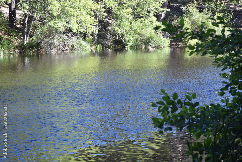 Shoreline at Mountain Lake Shoreline at Mountain Lake