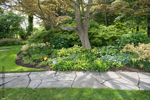 Manicured landscaping around a tree with a stone walkway.