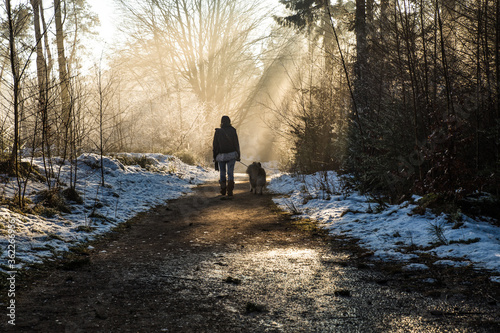 Girl walking husky in the winter