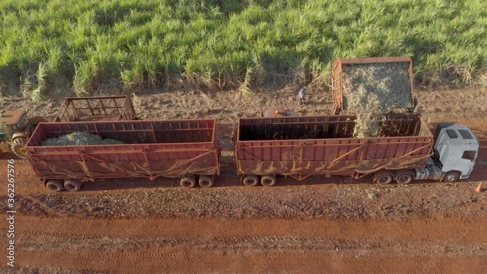 Loading truck with cut sugar cane in the field. Aerial view in Brazil Loading truck with cut sugar cane in the field. Aerial view in Brazil